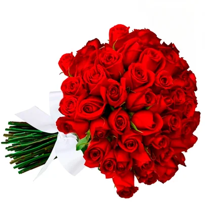 Foto do produto em Buquês de flores